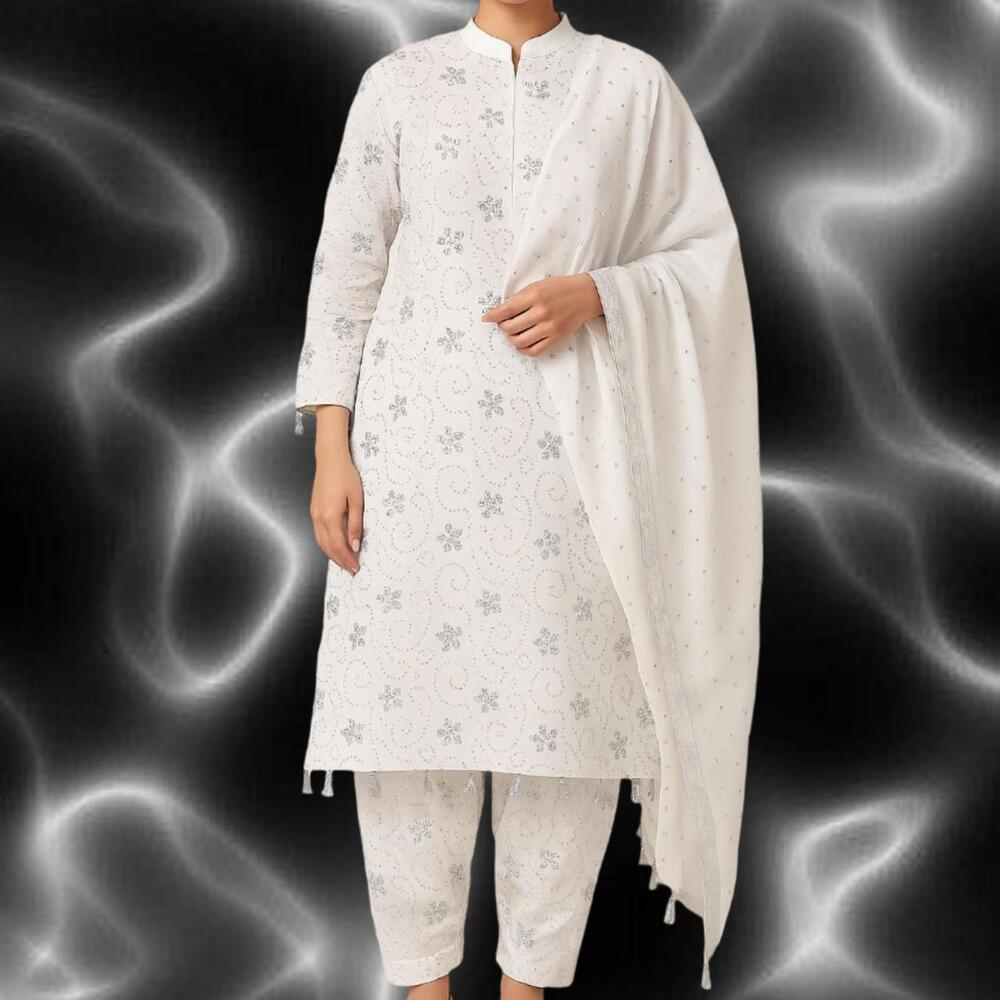 Brand New White and silver Punjabi Style outfit